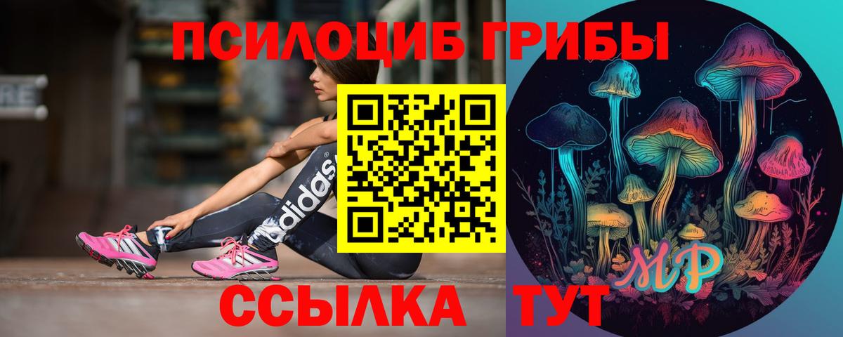даркнет сайт  Вход с VPN  Туапсе  Псилоцибиновые грибы Psilocybe 