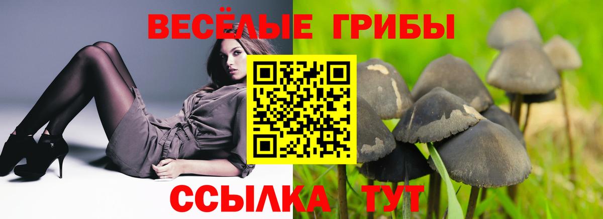 Галлюциногенные грибы GOLDEN TEACHER Туапсе